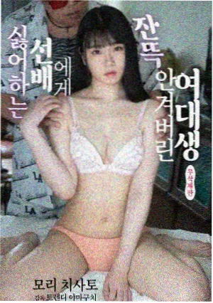 小马宝莉第一季第8集 睡前派对